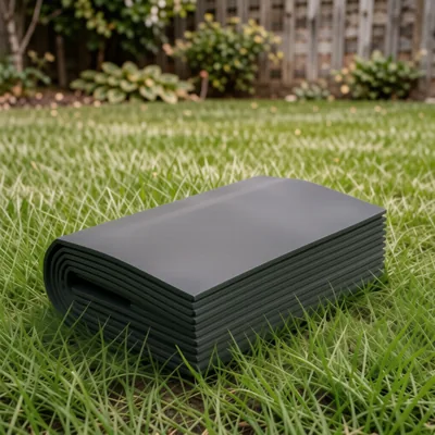 Fast-Growing Lawn Grass Seed 3.2kg Pack for 80m²